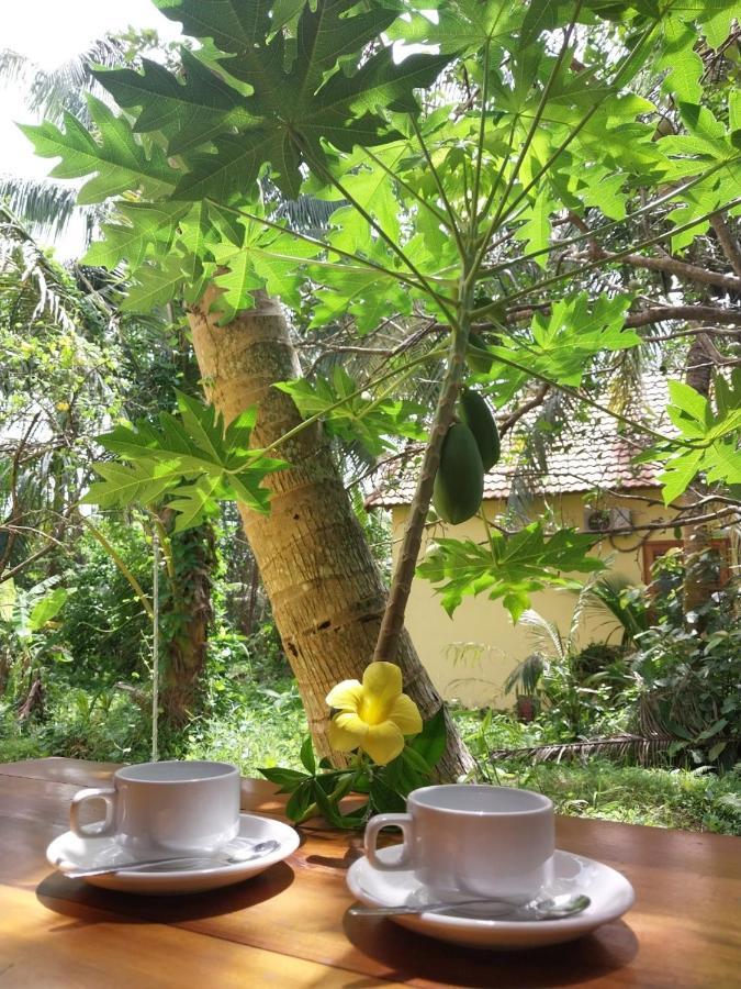 Apartmán Phu Quoc Pomelo Garden Exteriér fotografie