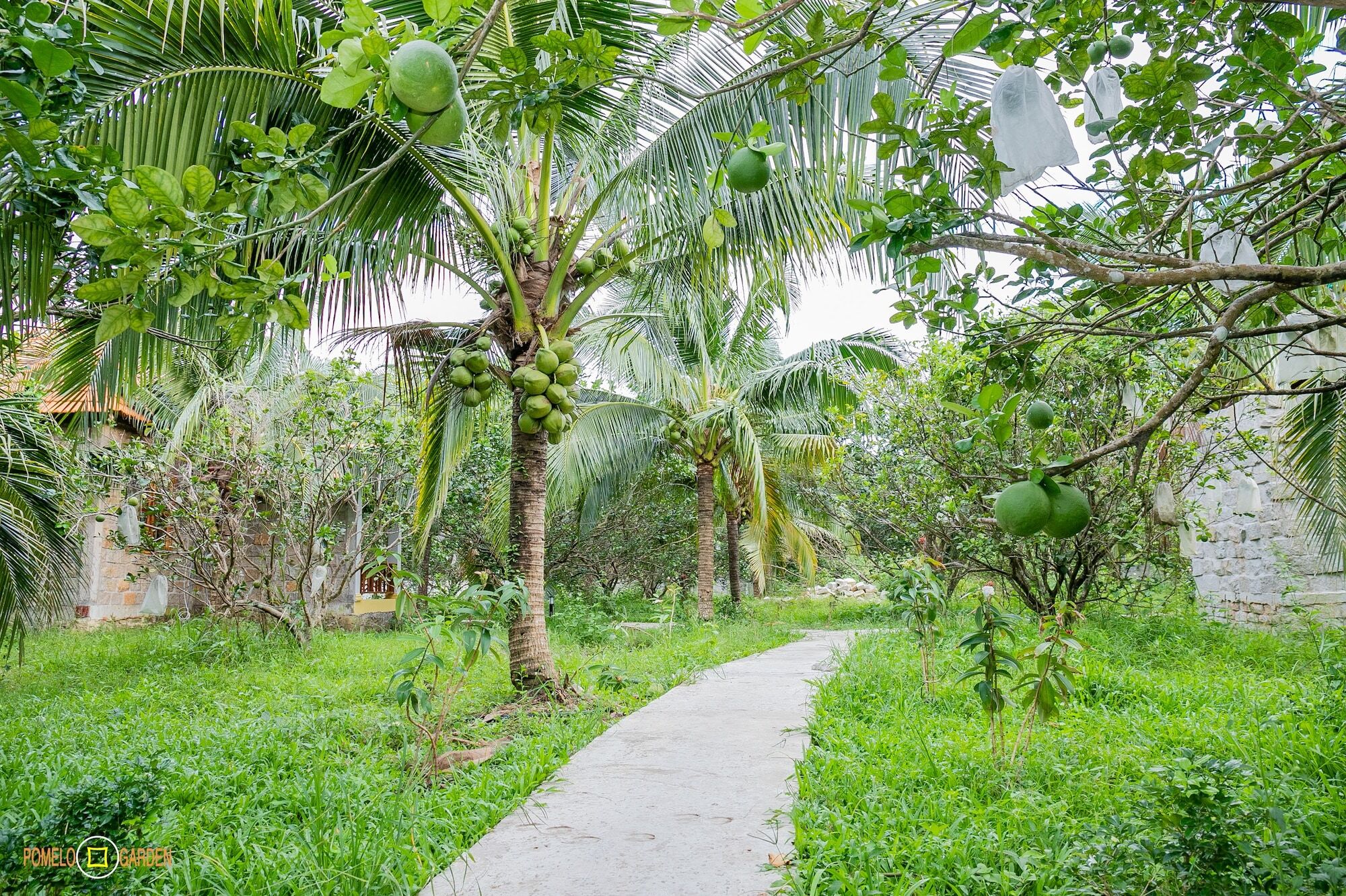 Apartmán Phu Quoc Pomelo Garden Exteriér fotografie
