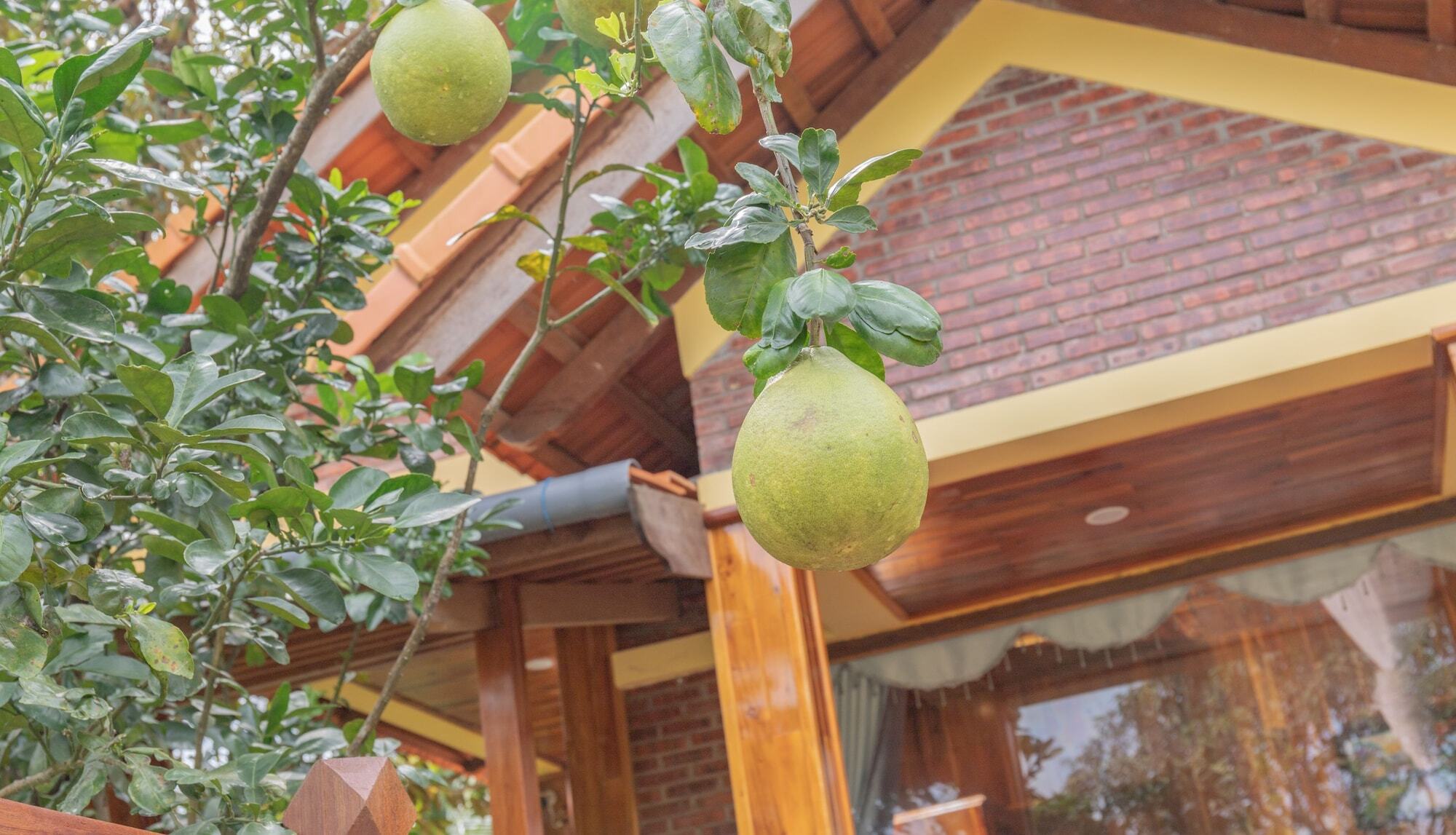 Apartmán Phu Quoc Pomelo Garden Exteriér fotografie