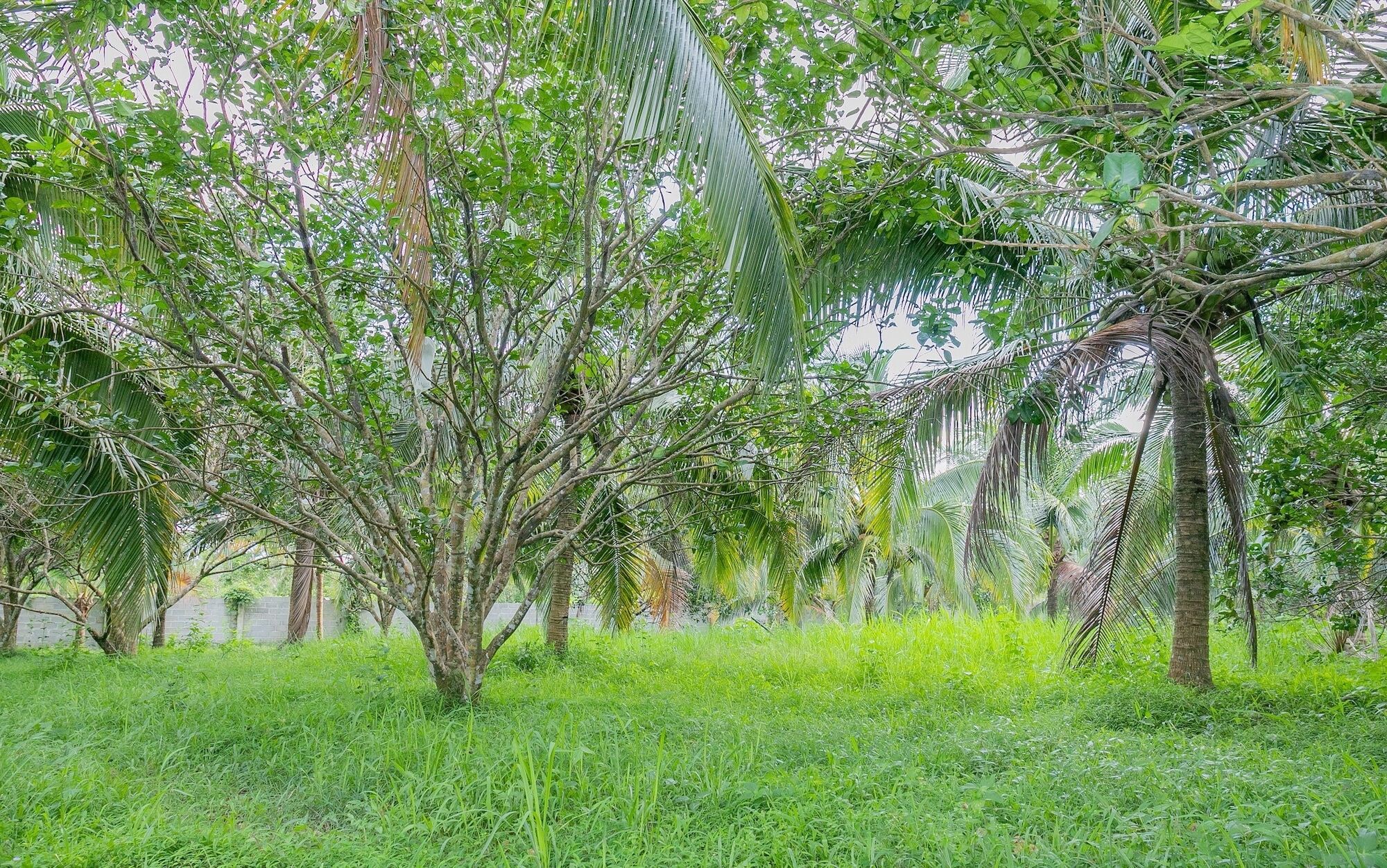 Apartmán Phu Quoc Pomelo Garden Exteriér fotografie